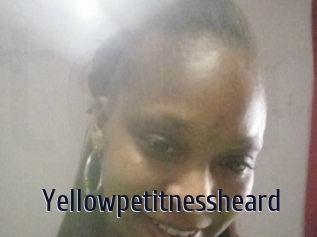 Yellowpetitnessheard