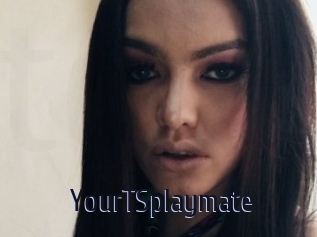 YourTSplaymate